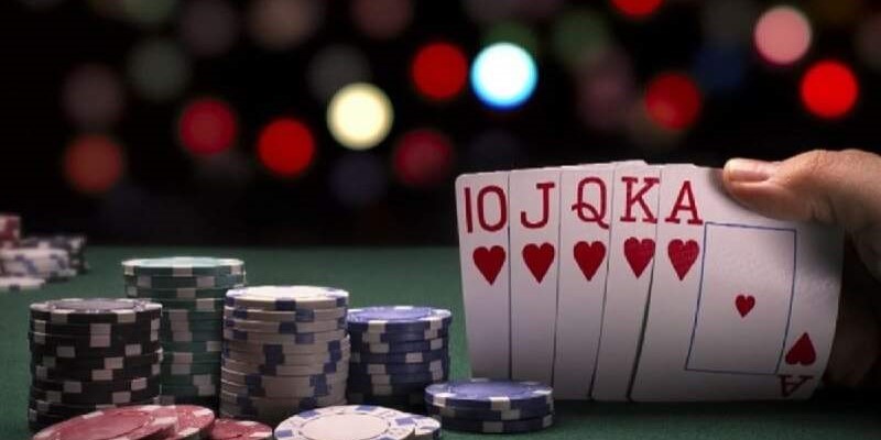 Bài Lốc: Hướng Dẫn Chi Tiết Từ A Đến Z Dành Cho Người Mới